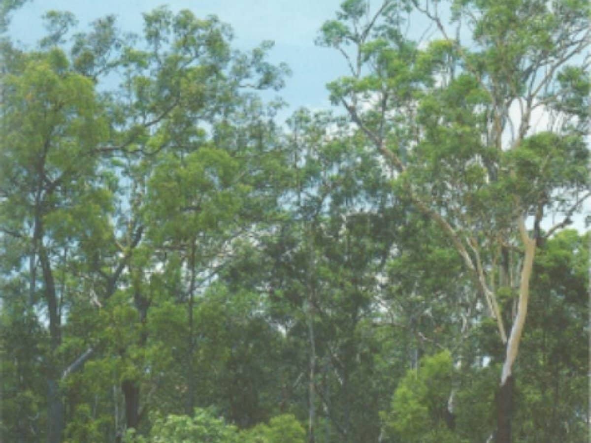 70 Launceston Road, Dundee Beach - Thumbnail 3