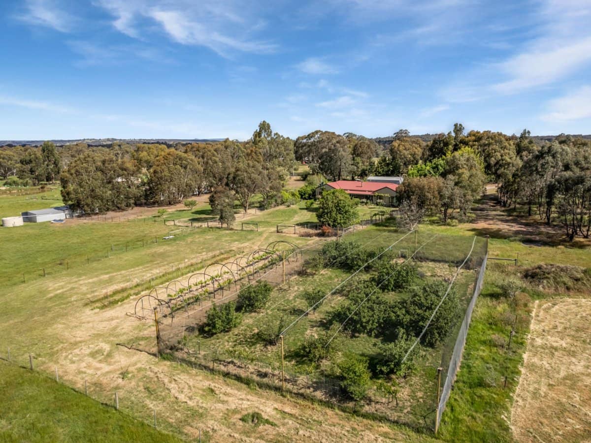 71 Thornhill Lane, Elphinstone - Thumbnail 13