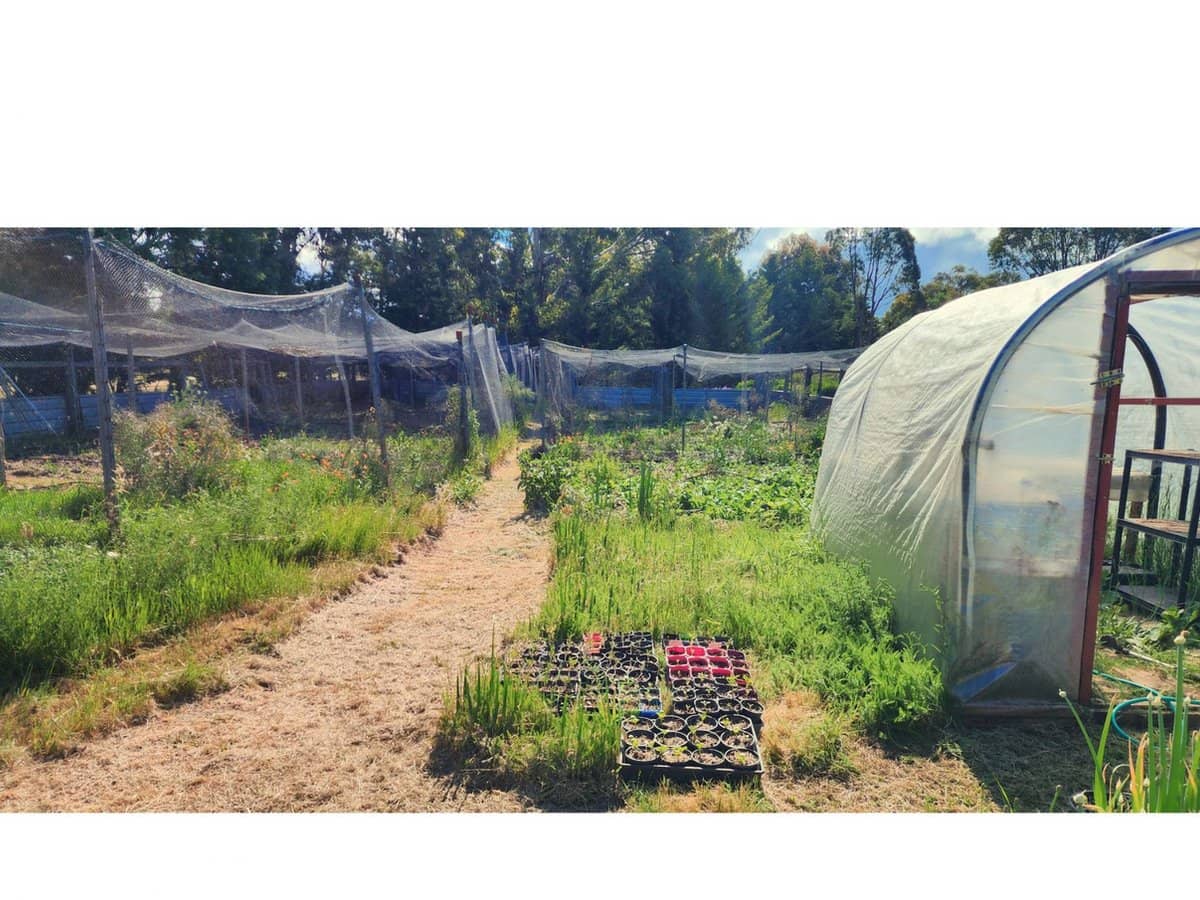 71 Thornhill Lane, Elphinstone - Thumbnail 14