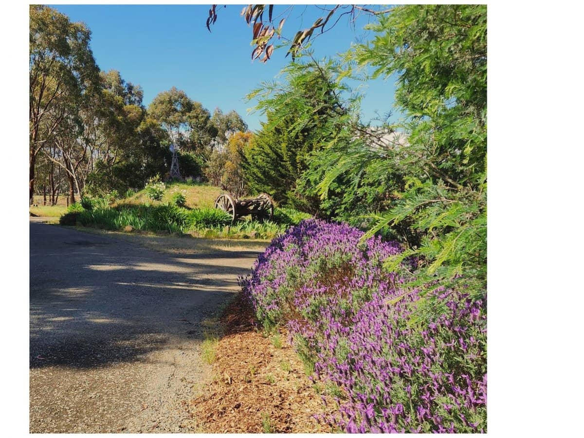 71 Thornhill Lane, Elphinstone - Thumbnail 17