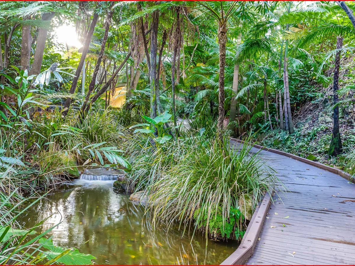 3 Parkland Boulevard, BRISBANE CITY - Thumbnail 20