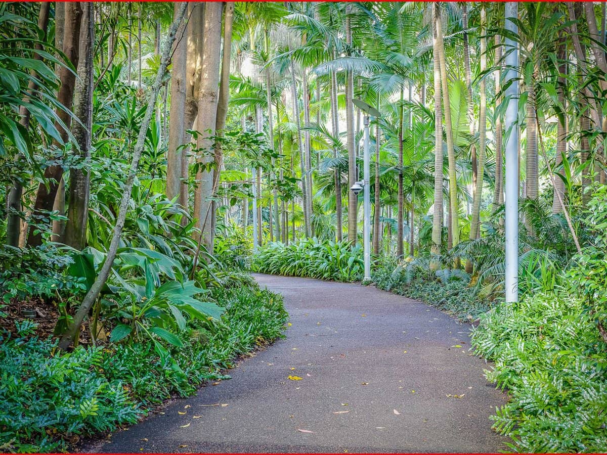 3 Parkland Boulevard, BRISBANE CITY - Thumbnail 22