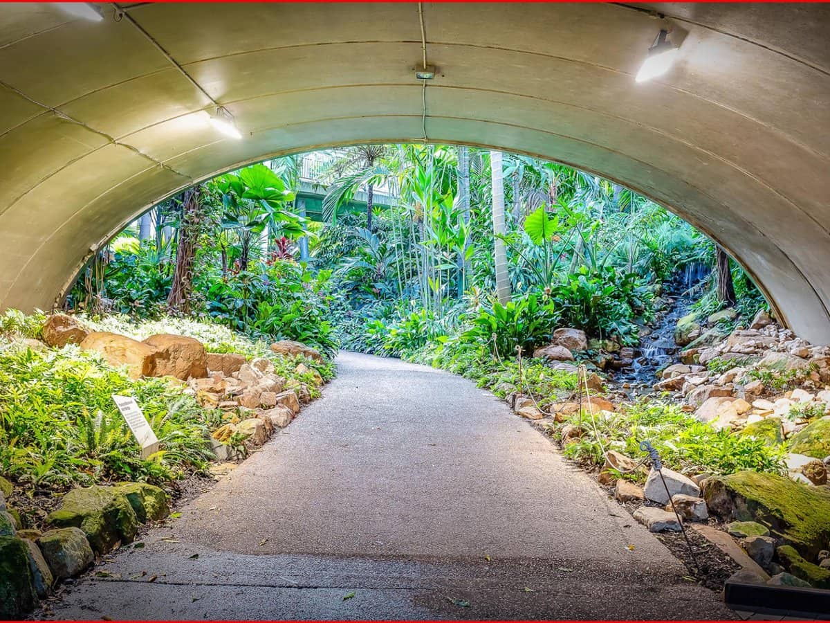 3 Parkland Boulevard, BRISBANE CITY - Thumbnail 25