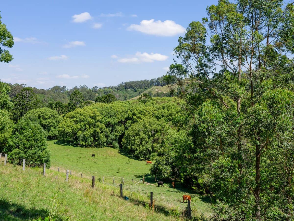 571 Clothiers Creek Road, CLOTHIERS CREEK - Thumbnail 3