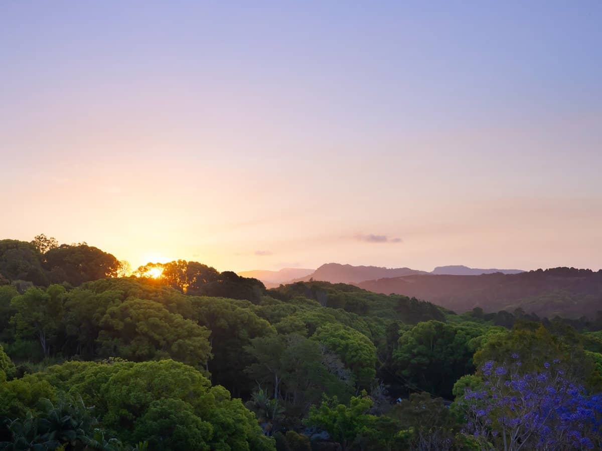 1 Rosemount Court, TERRANORA - Thumbnail 18