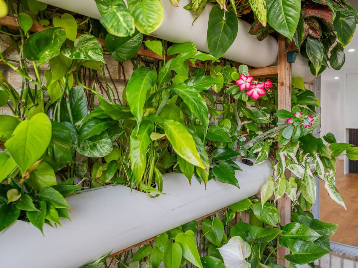 202 Macquarie Way, DREWVALE - Thumbnail 17