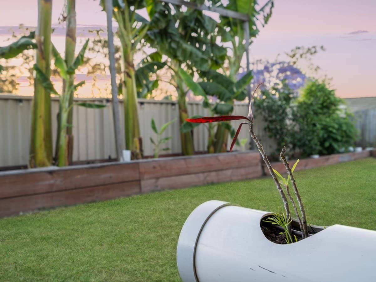 202 Macquarie Way, DREWVALE - Thumbnail 18