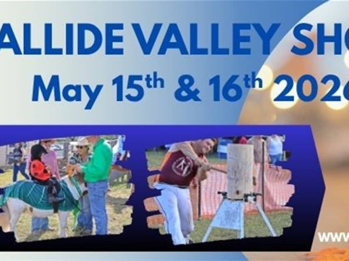 68 Lawrence Street, BILOELA - Thumbnail 13