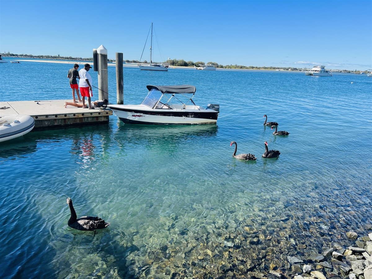 96-98 Frank Street, LABRADOR - Thumbnail 8