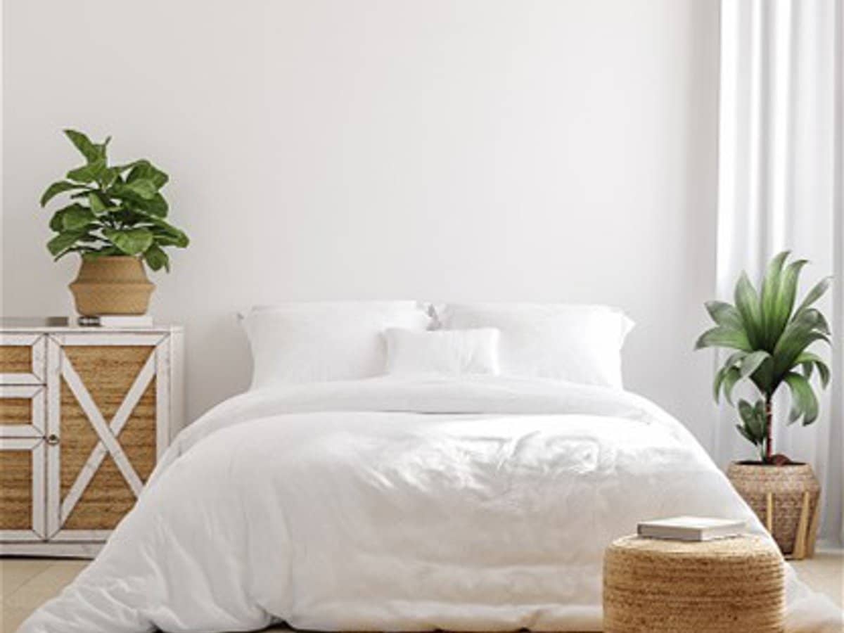 Cale Street, LOGAN CENTRAL - Thumbnail 3