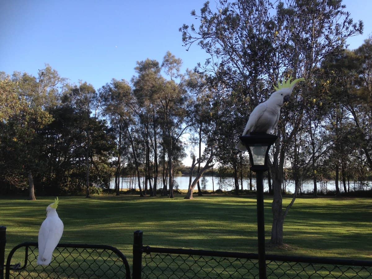 25/43 Myola Court, COOMBABAH - Thumbnail 35