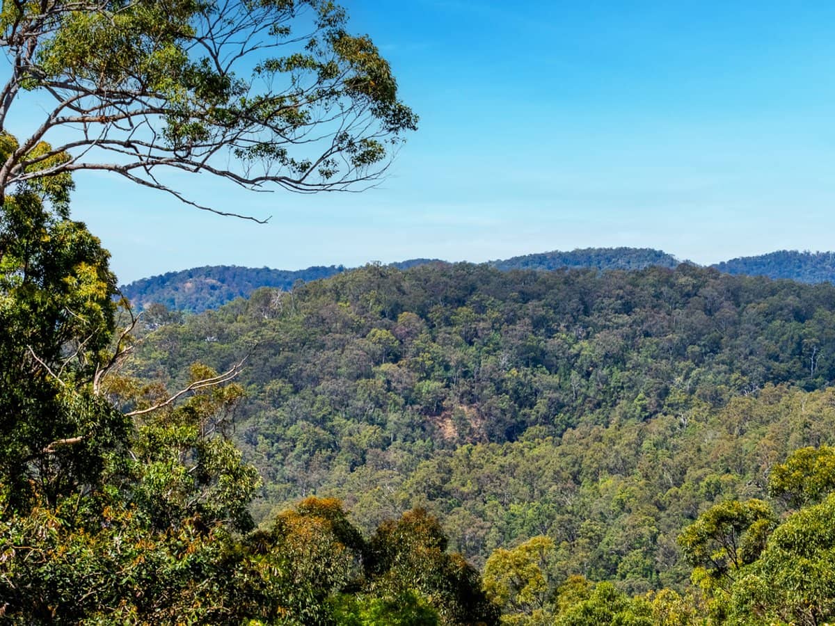 15 Chesterfield Drive, BONOGIN - Thumbnail 7