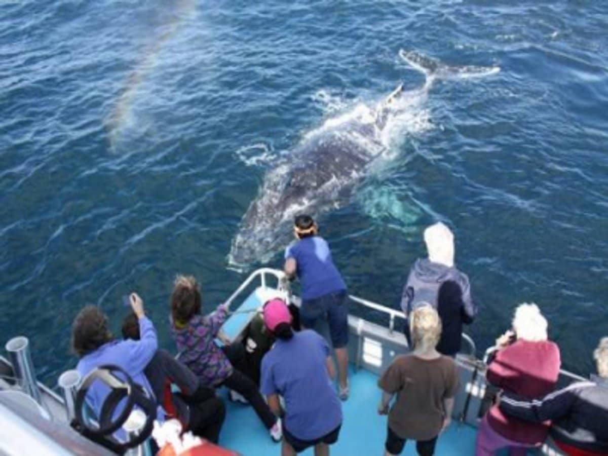 26 Gold Coast Highway, SOUTHPORT - Thumbnail 10