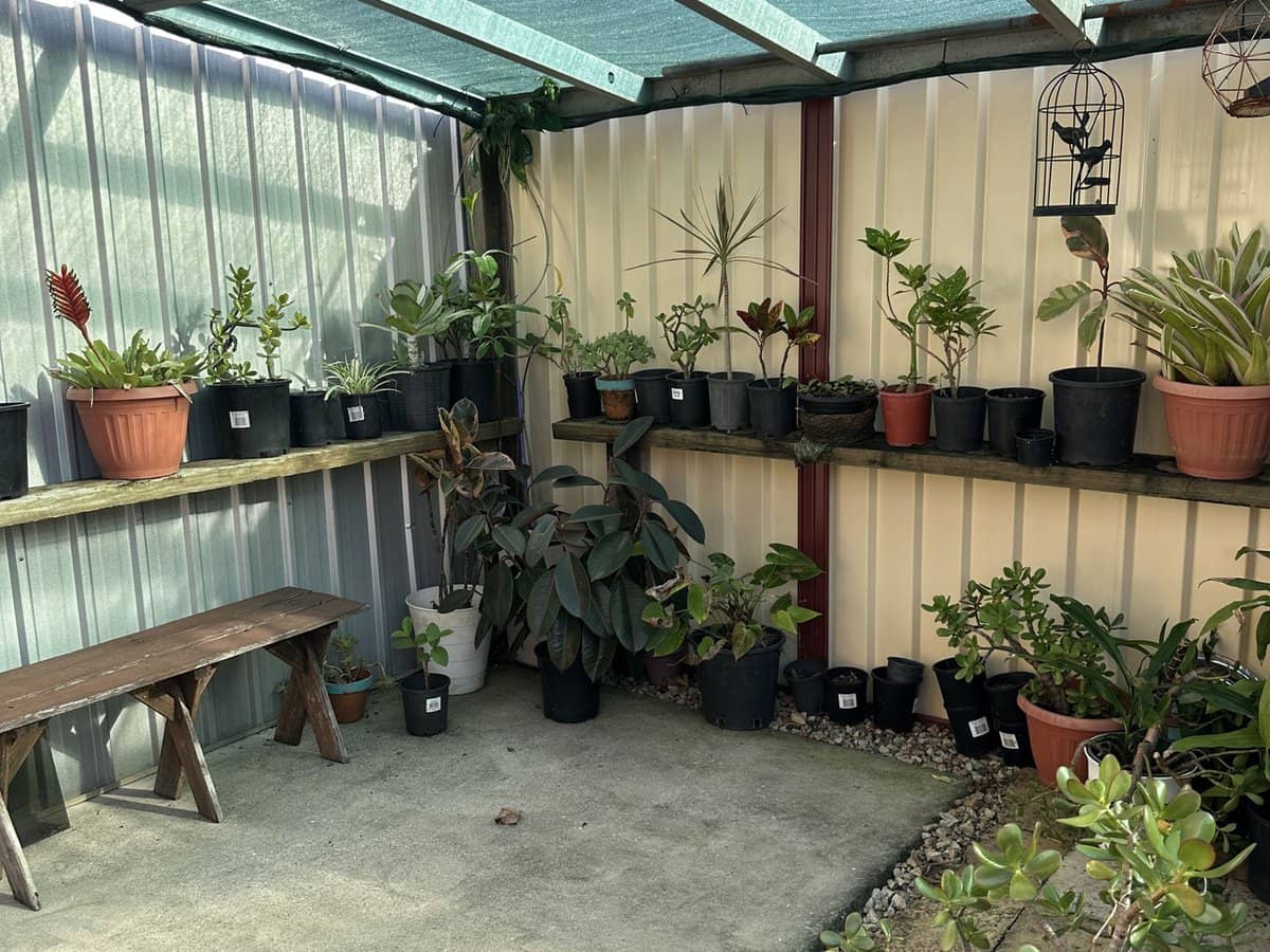 19 Links Avenue, Meadowbrook - Thumbnail 22