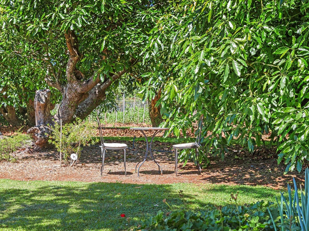 332-356 Main Western Road, TAMBORINE MOUNTAIN - Thumbnail 32