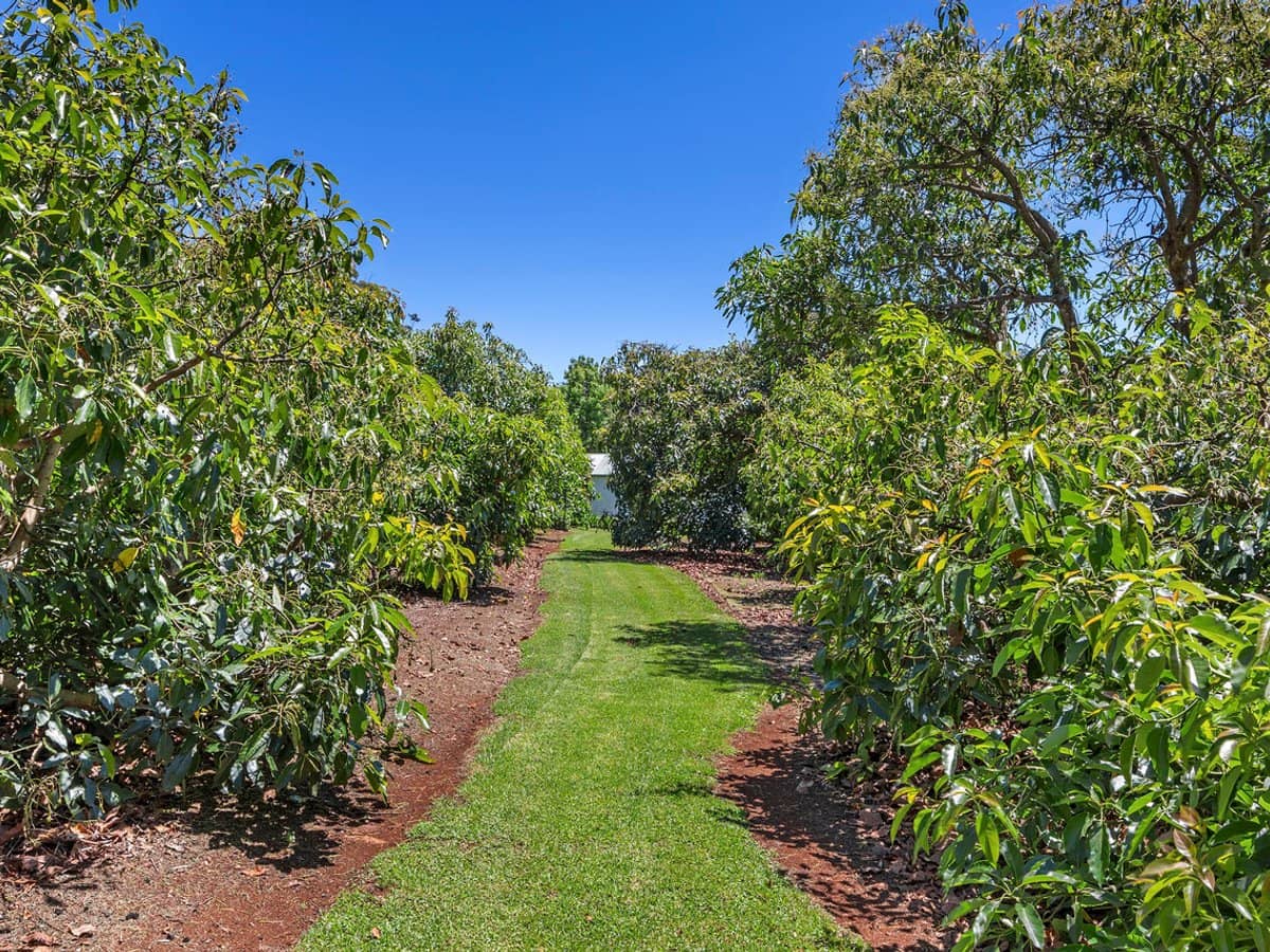 332-356 Main Western Road, TAMBORINE MOUNTAIN - Thumbnail 35