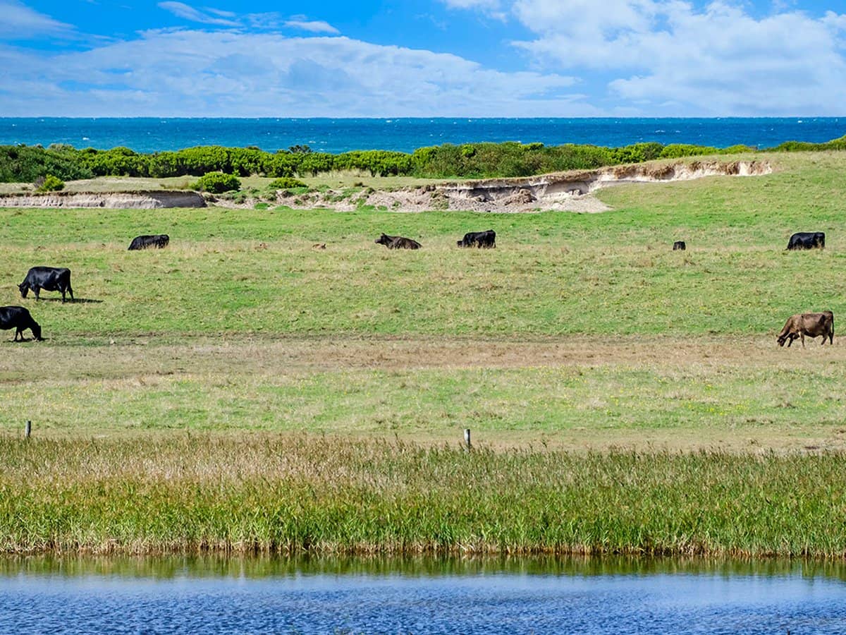 8105 Princes Highway, NARRAWONG - Thumbnail 7