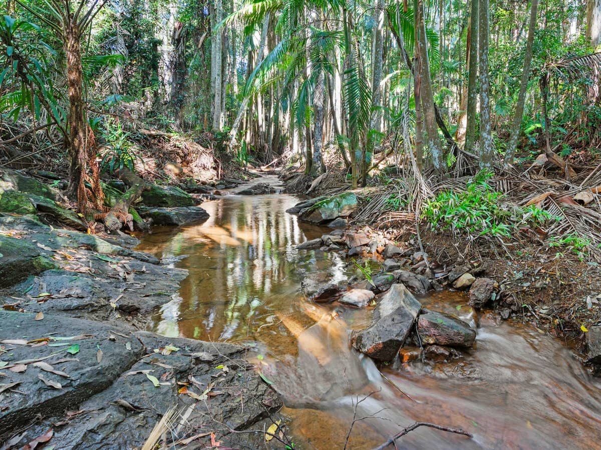 28a Geissmann Street, TAMBORINE MOUNTAIN - Thumbnail 1