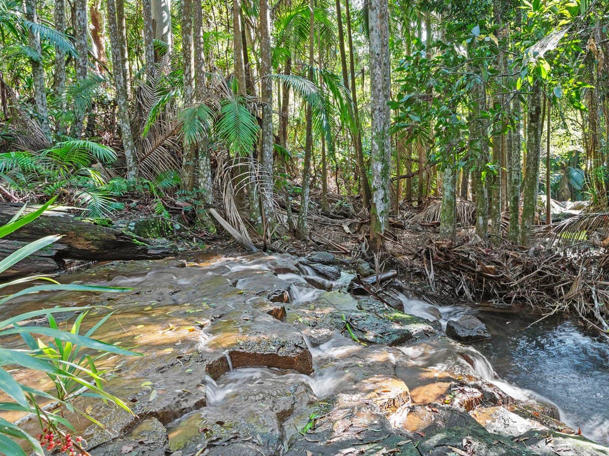 28a Geissmann Street, TAMBORINE MOUNTAIN - Thumbnail 3