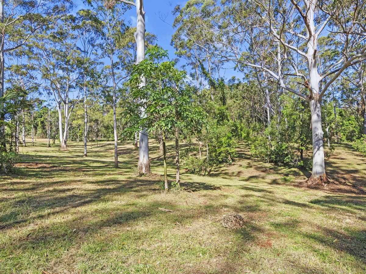 28a Geissmann Street, TAMBORINE MOUNTAIN - Thumbnail 5