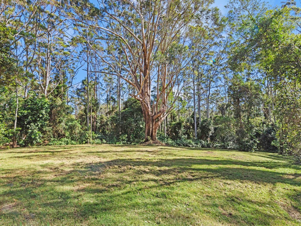 28a Geissmann Street, TAMBORINE MOUNTAIN - Thumbnail 6