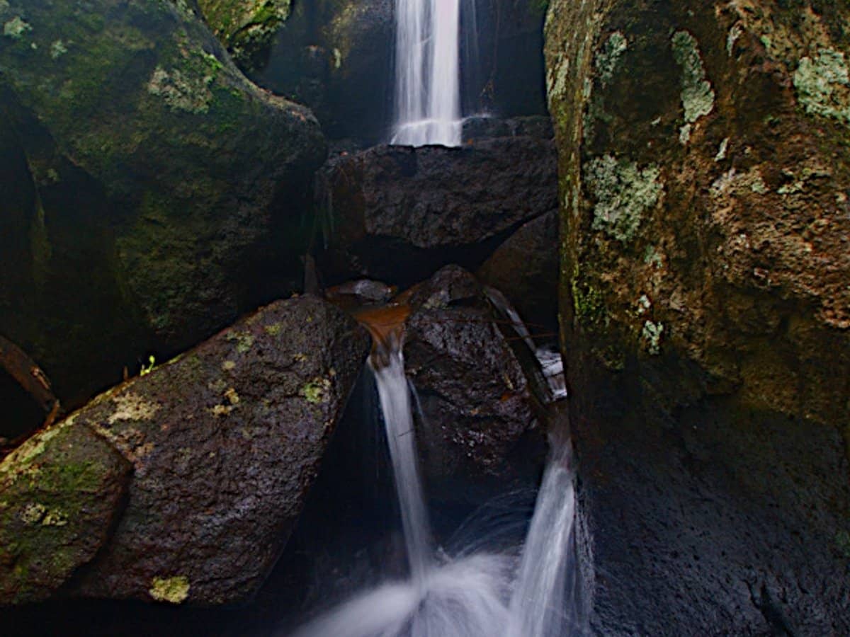 28a Geissmann Street, TAMBORINE MOUNTAIN - Thumbnail 19