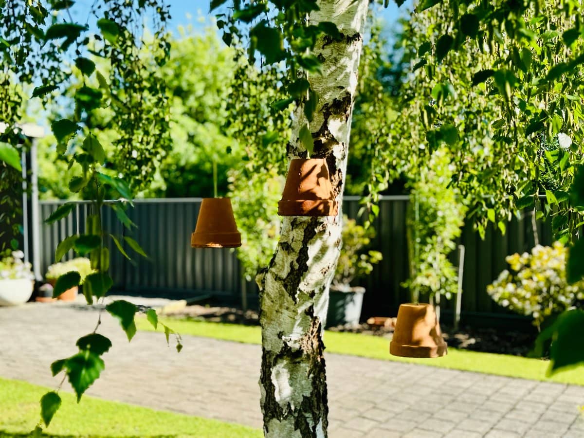 26 Smith Street, HEYWOOD - Thumbnail 24