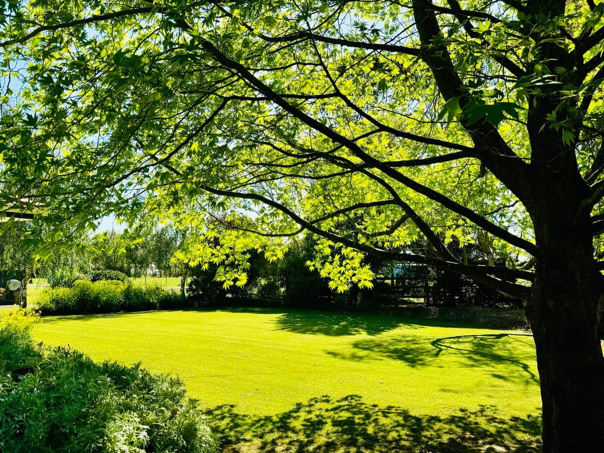 26 Smith Street, HEYWOOD - Thumbnail 25