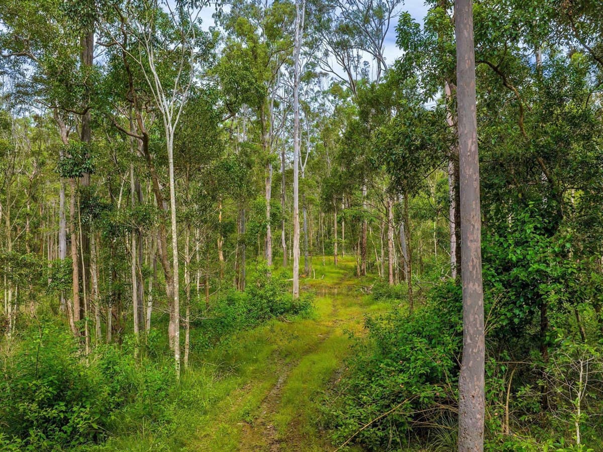 77 Arborfourteen Road, Glenwood - Thumbnail 3