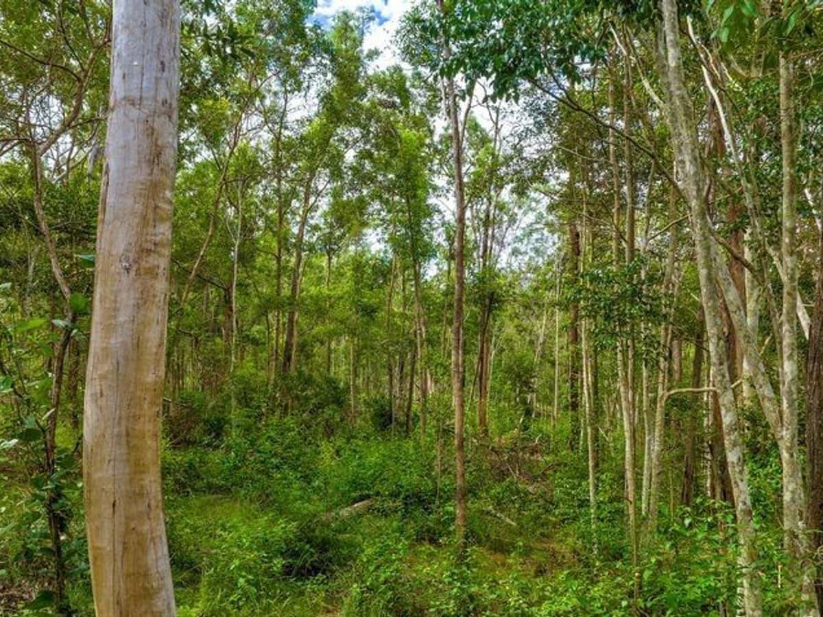 77 Arborfourteen Road, Glenwood - Thumbnail 5