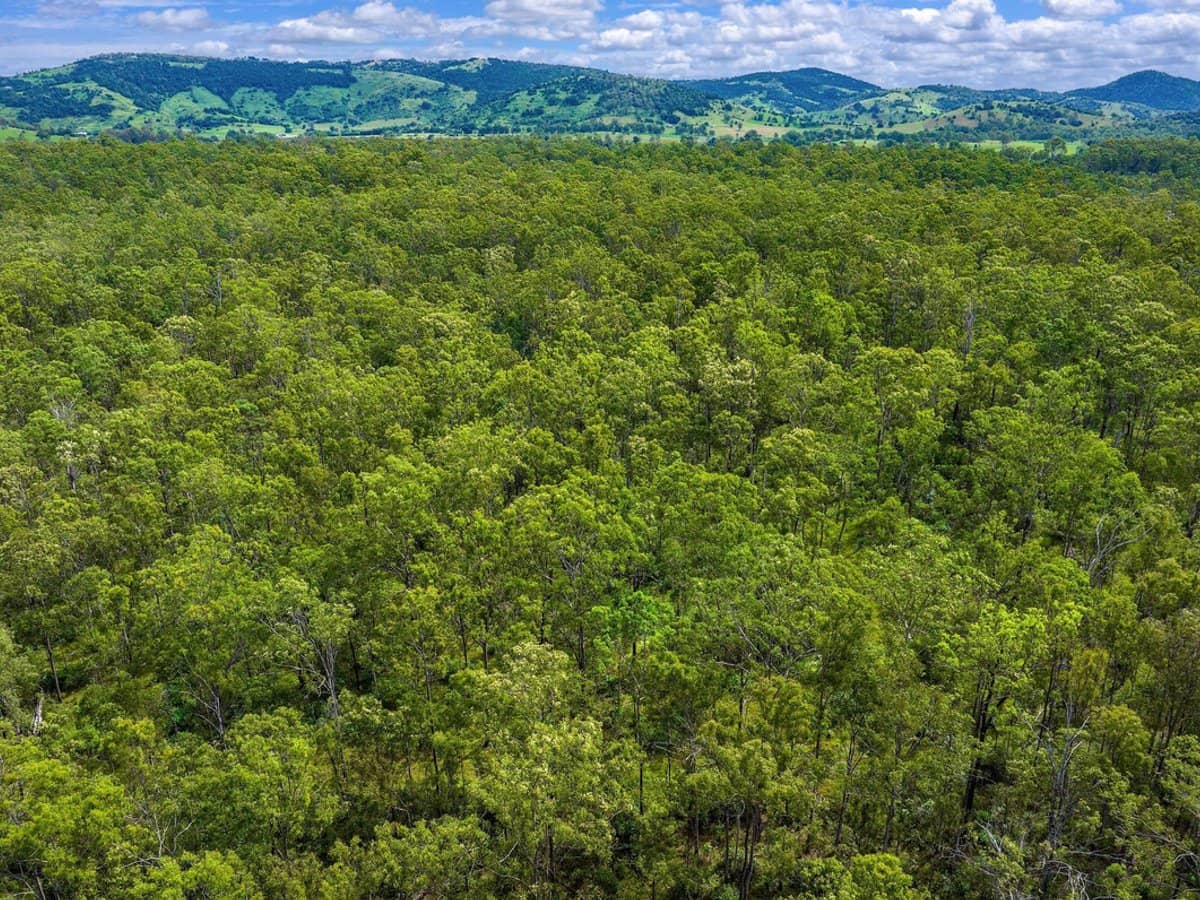 77 Arborfourteen Road, Glenwood - Thumbnail 7