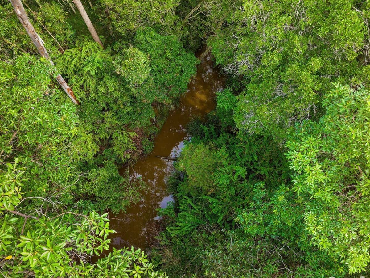 77 Arborfourteen Road, Glenwood - Thumbnail 8