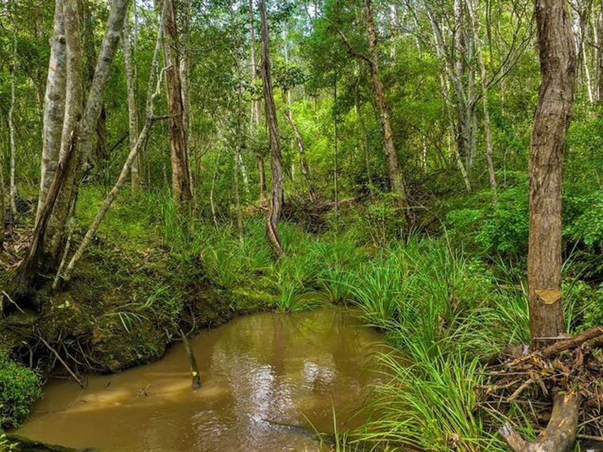 77 Arborfourteen Road, Glenwood - Thumbnail 10