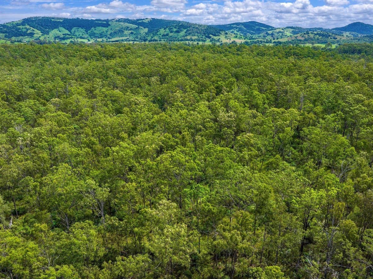 77 Arborfourteen Road, Glenwood - Thumbnail 11