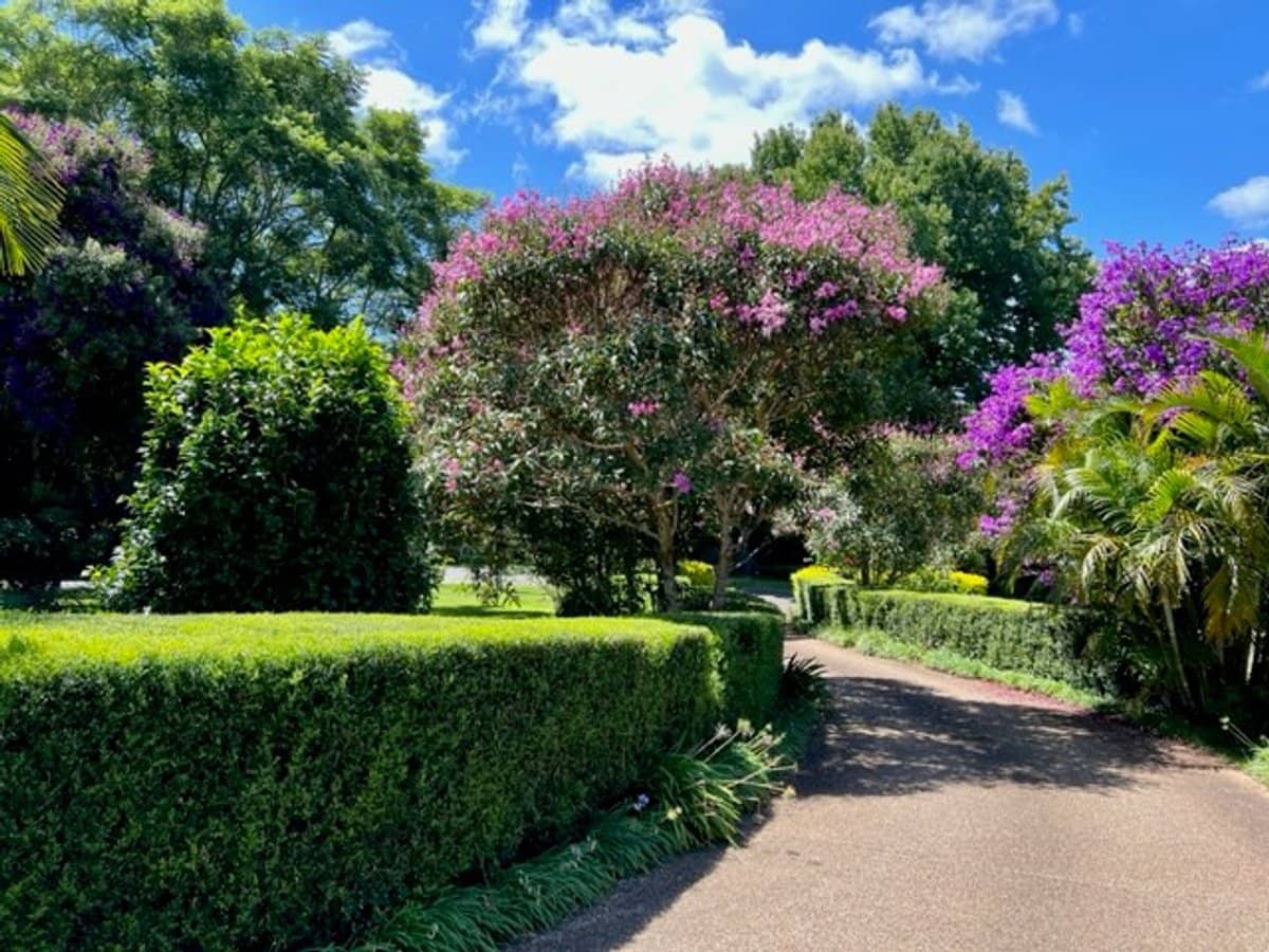 161-169 Eagle Heights Road, TAMBORINE MOUNTAIN - Thumbnail 32