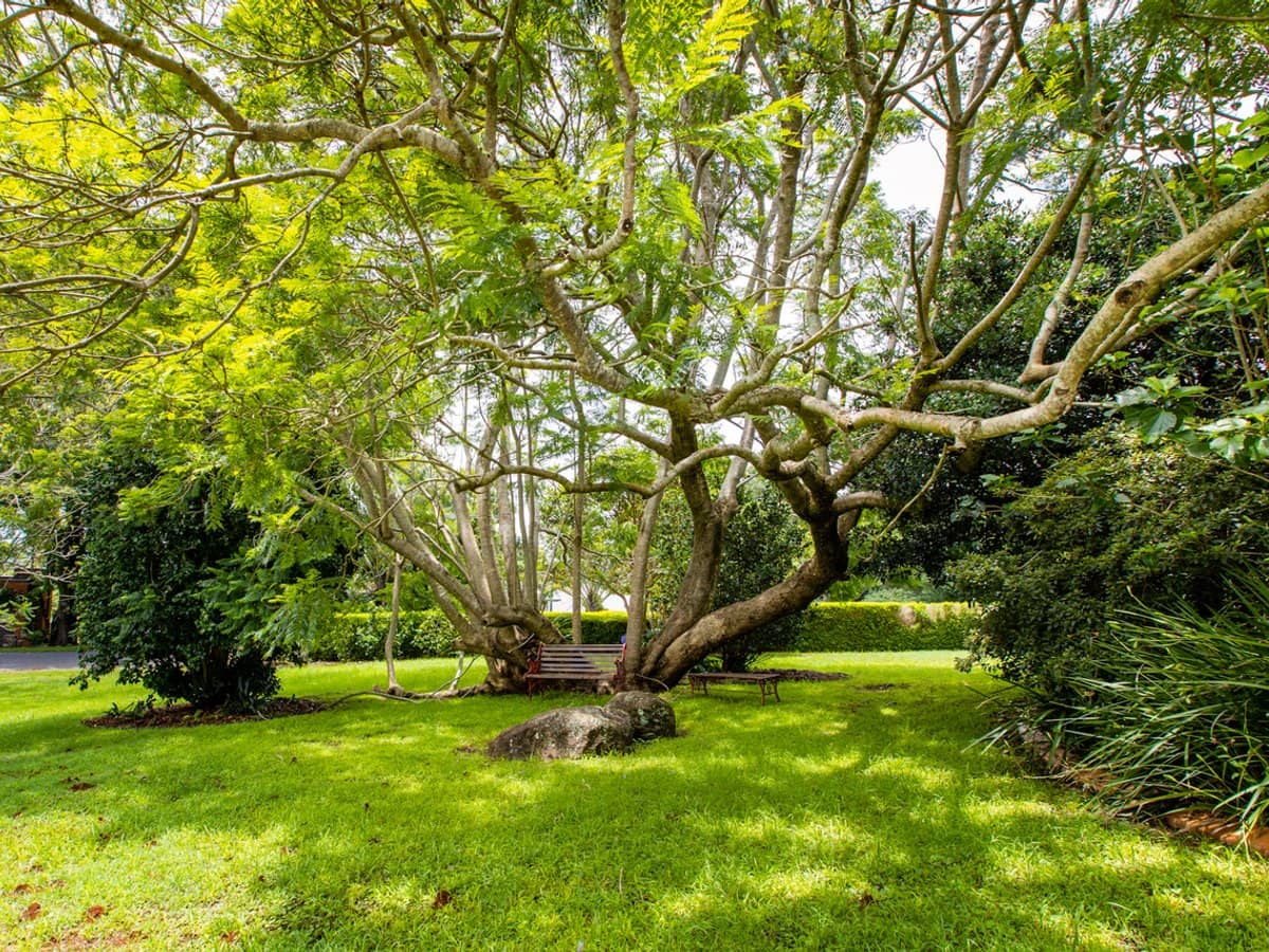 161-169 Eagle Heights Road, TAMBORINE MOUNTAIN - Thumbnail 33