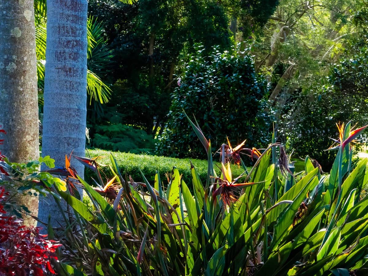 161-169 Eagle Heights Road, TAMBORINE MOUNTAIN - Thumbnail 35