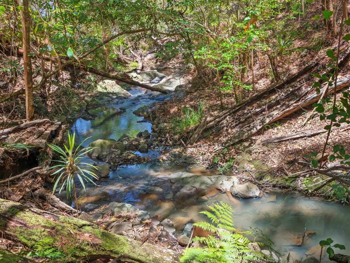 17 Lombok Court, TAMBORINE MOUNTAIN - Thumbnail 4