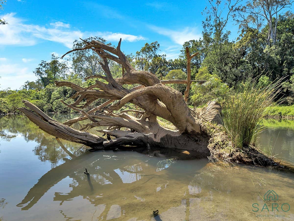 351 Orara Road, LANITZA - Thumbnail 27