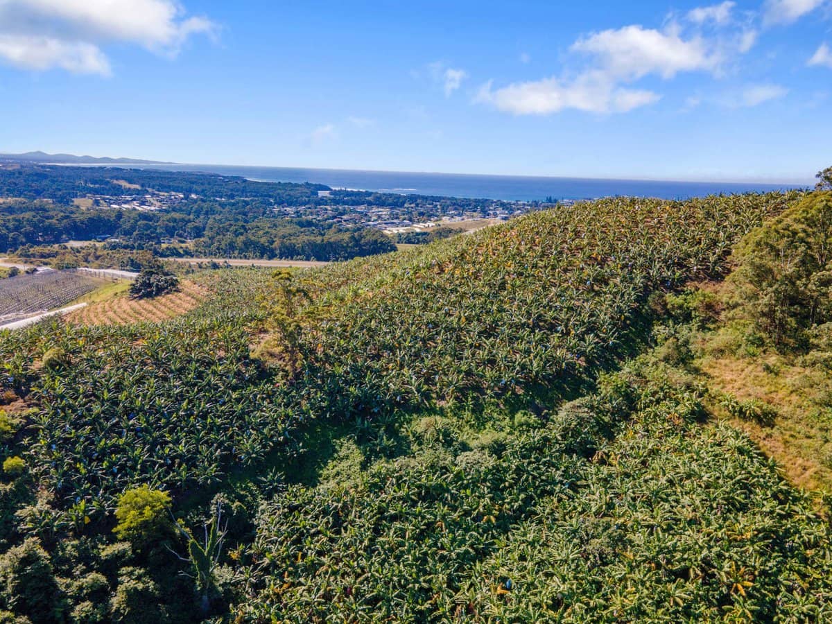 Greys Road, WOOLGOOLGA - Thumbnail 4