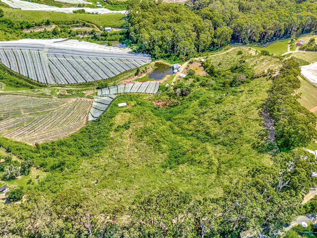 20 Morgans Road, SANDY BEACH - Thumbnail 8