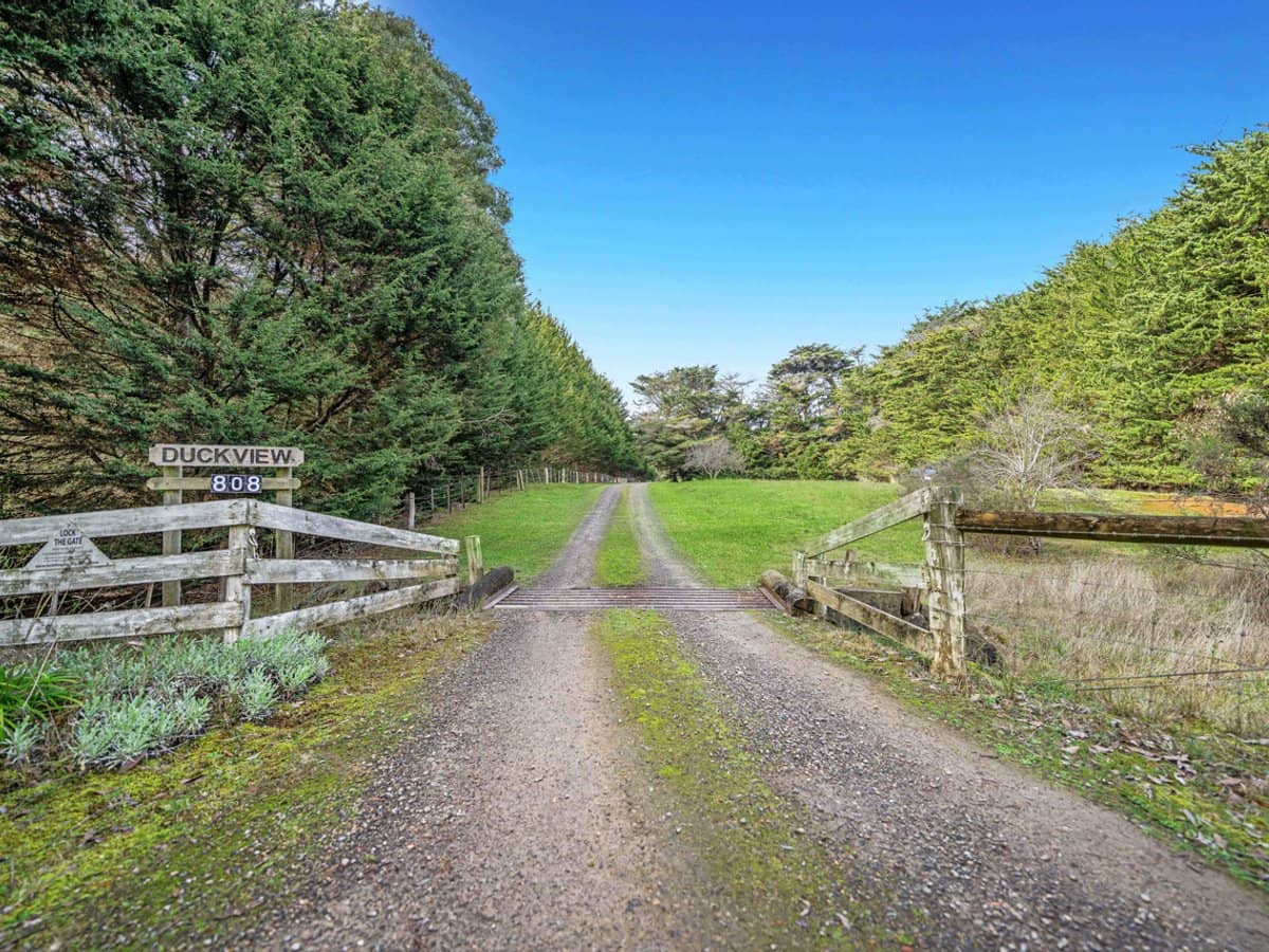 808 Henty Highway, BOLWARRA - Thumbnail 4