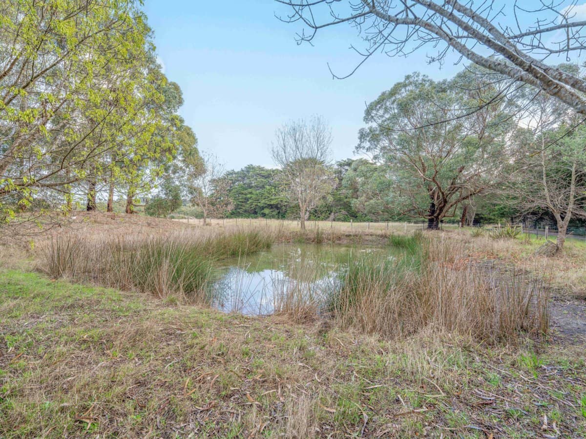 808 Henty Highway, BOLWARRA - Thumbnail 18