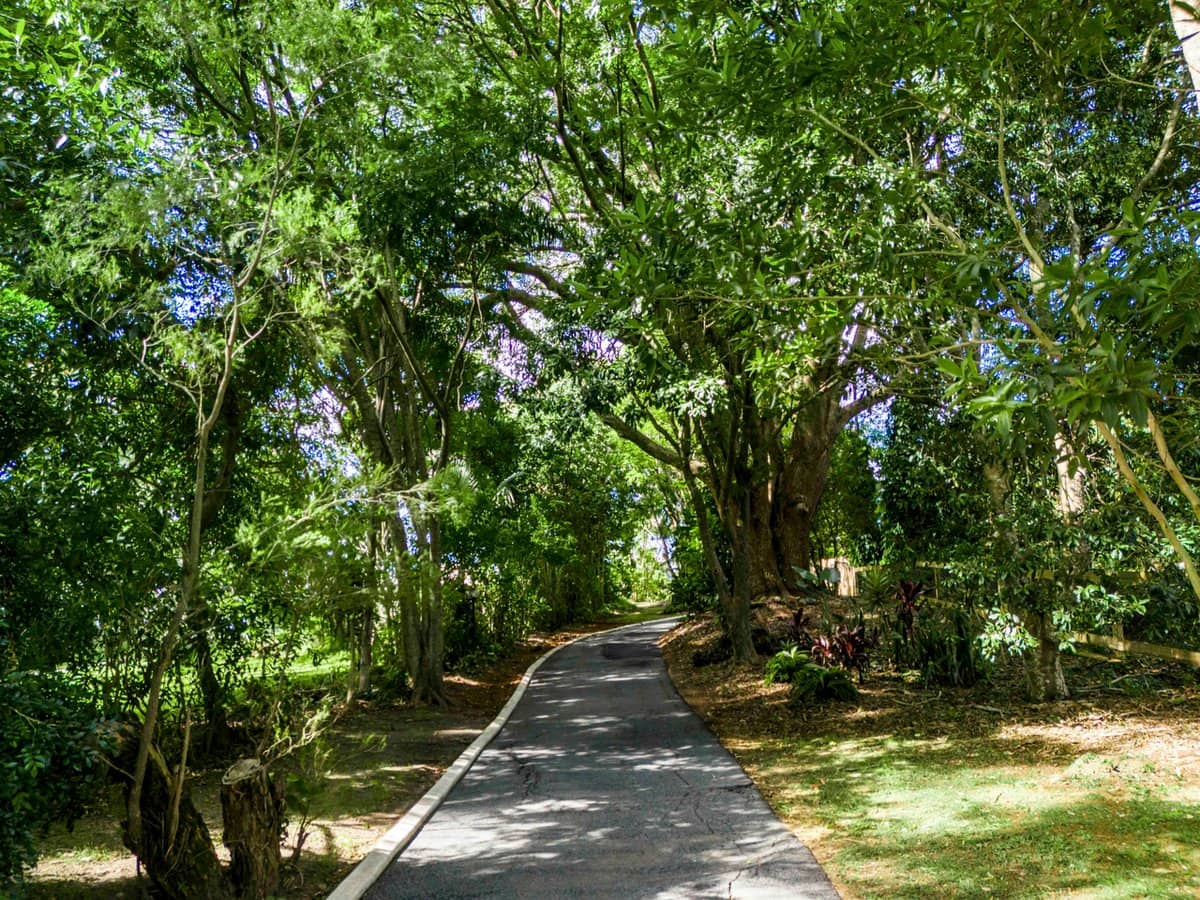 16 Bongaree Road, TERRANORA - Thumbnail 24