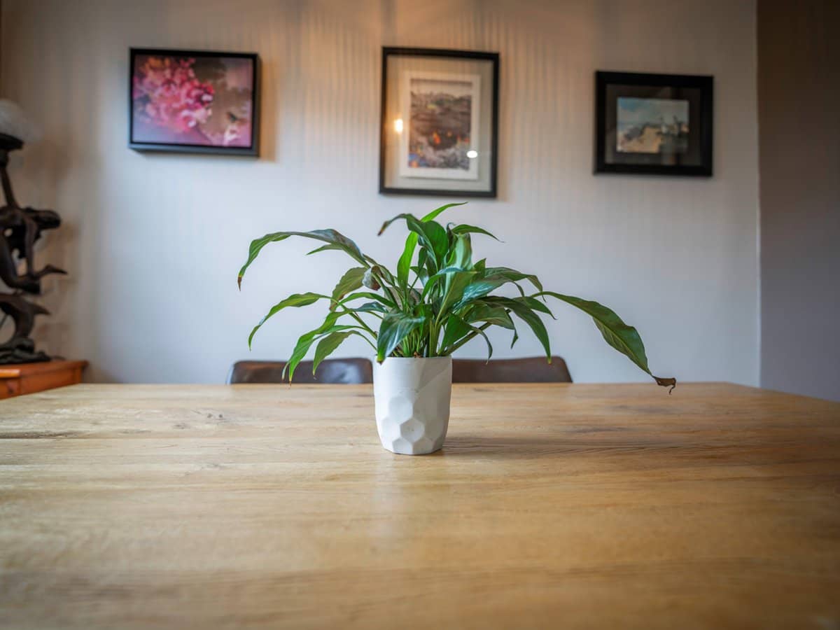 205 Bentinck Street, PORTLAND - Thumbnail 5