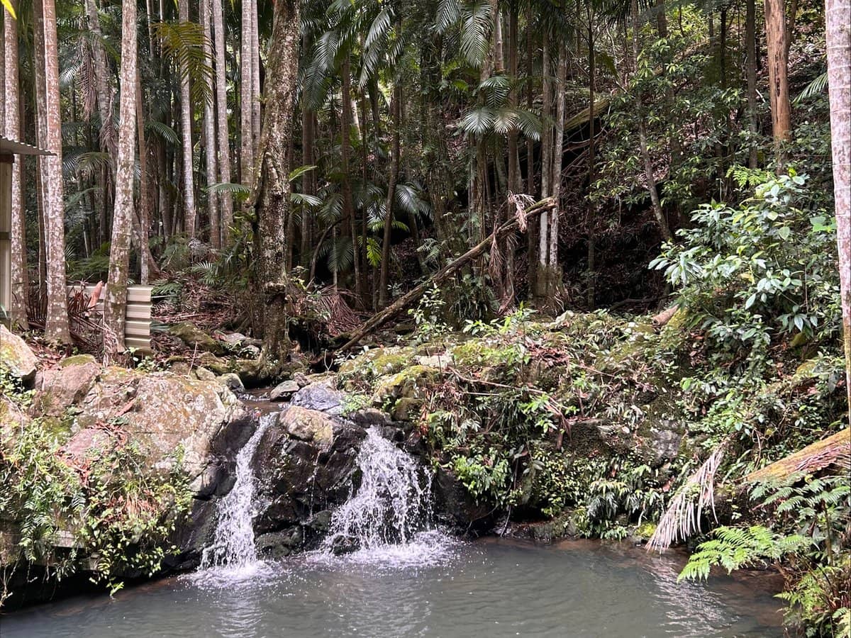 221D Bennetts Road, COFFS HARBOUR - Thumbnail 10