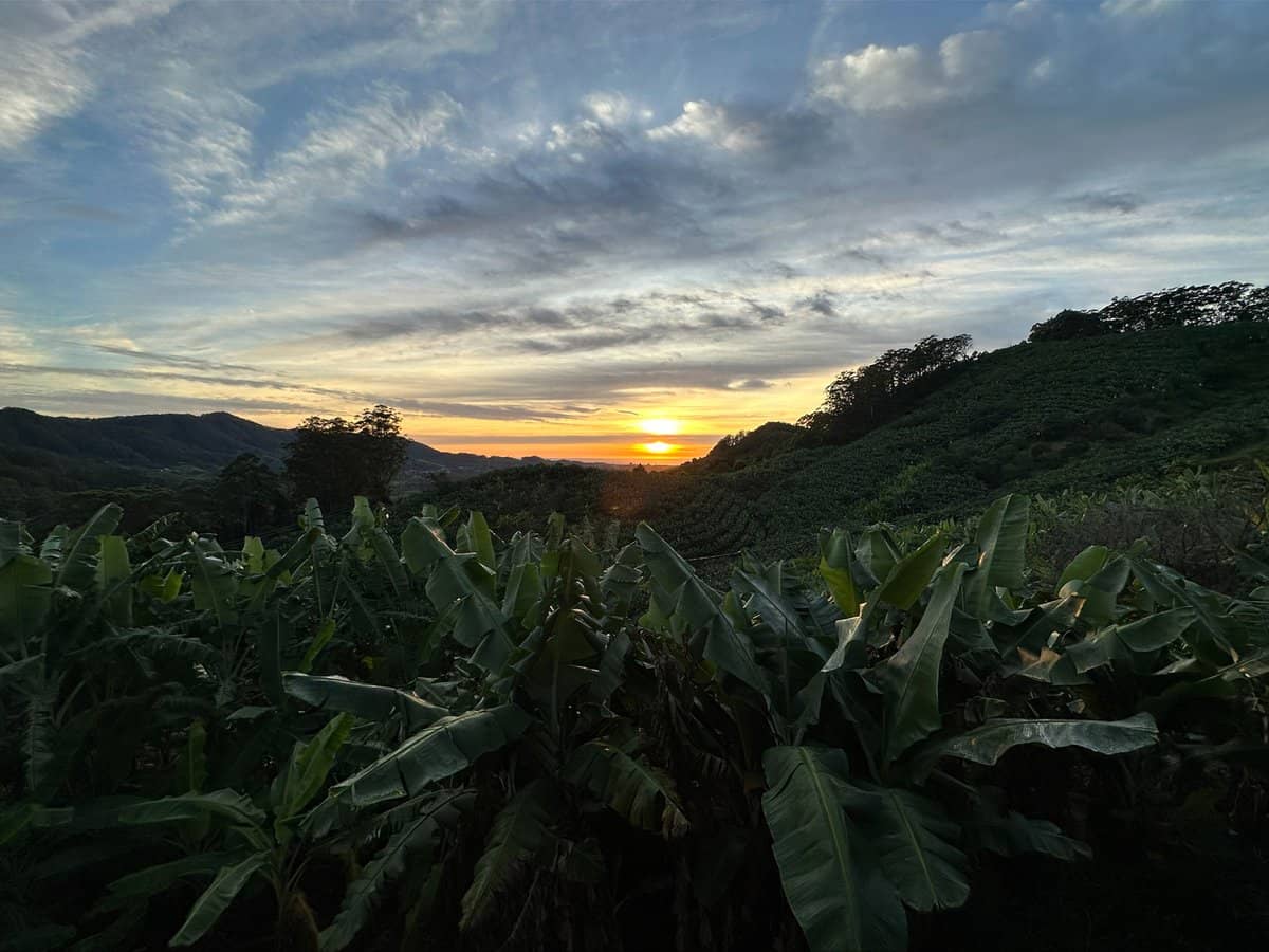 221D Bennetts Road, COFFS HARBOUR - Thumbnail 27