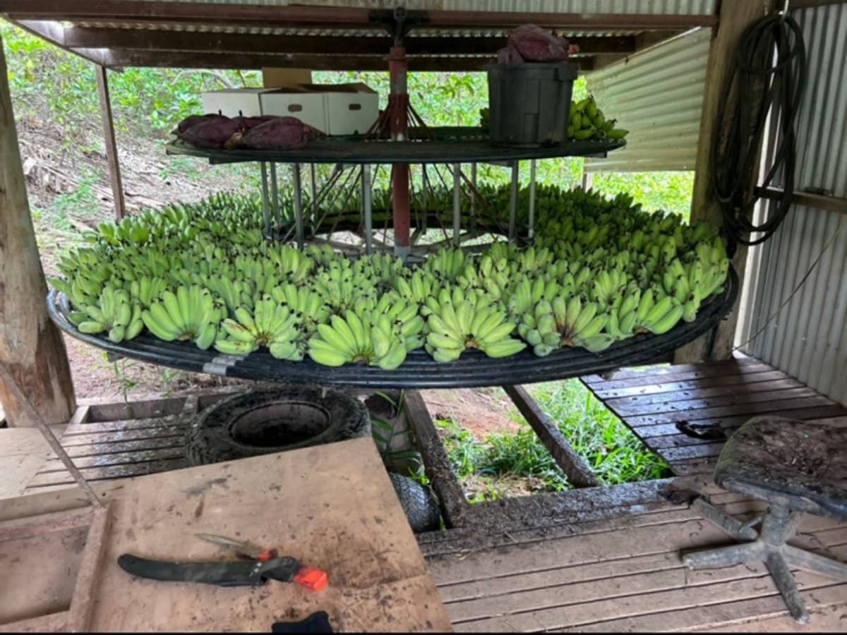 221D Bennetts Road, COFFS HARBOUR - Thumbnail 28