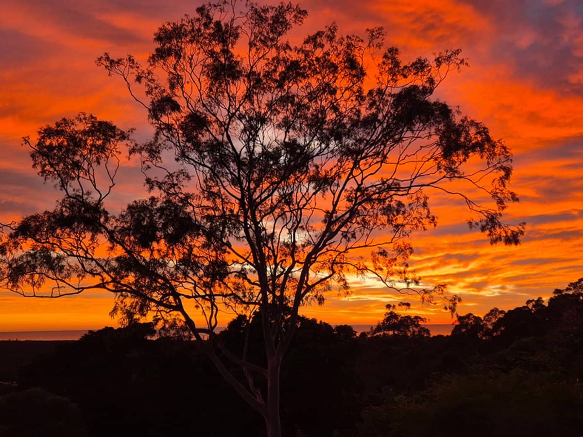 32 Tongarra Drive, OCEAN SHORES - Thumbnail 2