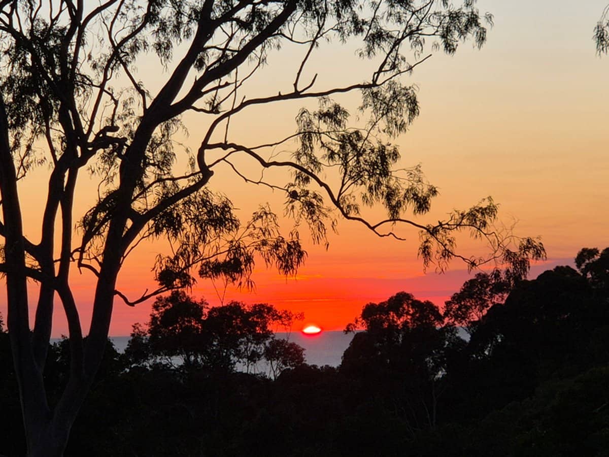 32 Tongarra Drive, OCEAN SHORES - Thumbnail 15